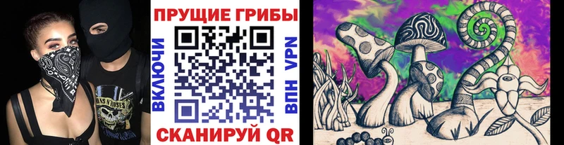Галлюциногенные грибы Psilocybine cubensis  даркнет сайт  Вихоревка 